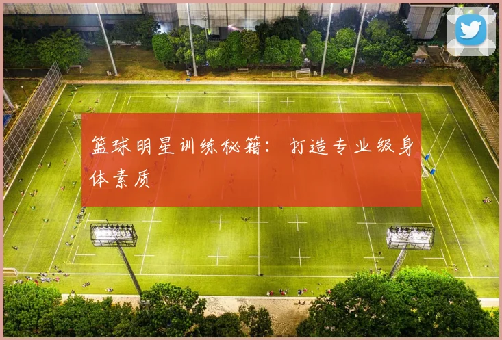 篮球明星训练秘籍:打造专业级身体素质